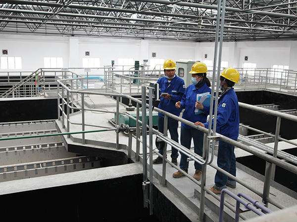 1592267259695303.jpeg IMG_0083.JPG