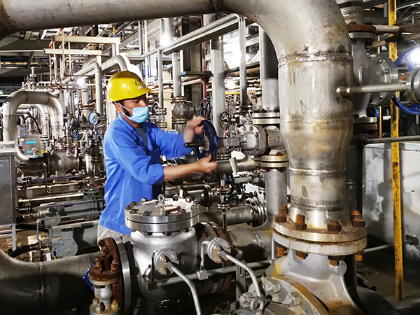 1598403001611689.jpeg 2df4c44008414c89f31de3bc3252943.jpg