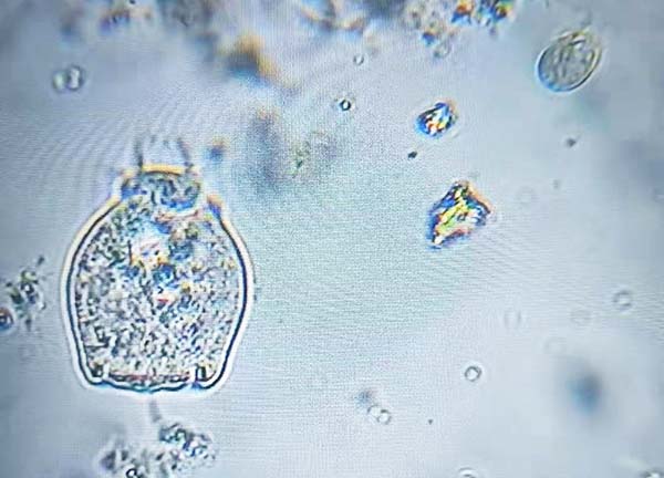 1615535632949714.jpeg 微信圖片_20210311102949.jpg