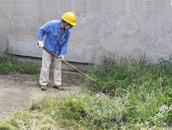 1629368290415377.jpeg 除草5.jpg