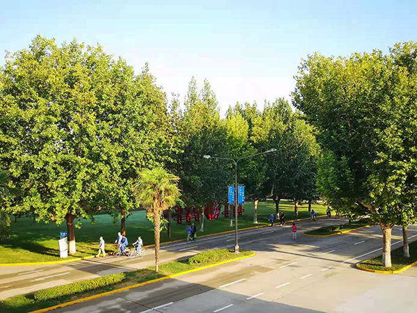 1630477858851612.jpeg a0a0146a15f5143a85b9a2e3fe6c7a2.jpg