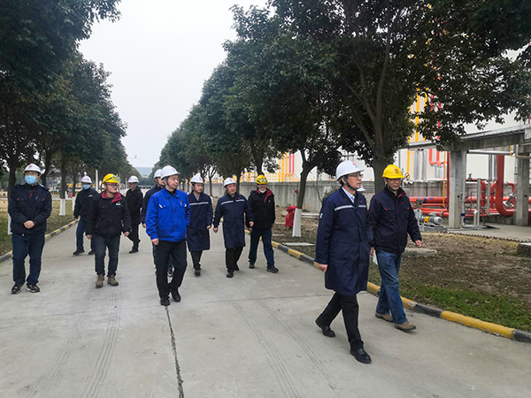 1677032500201414.jpeg f0fc3b00a9c2b9e890e811f31cc6f3e(副圖).jpg