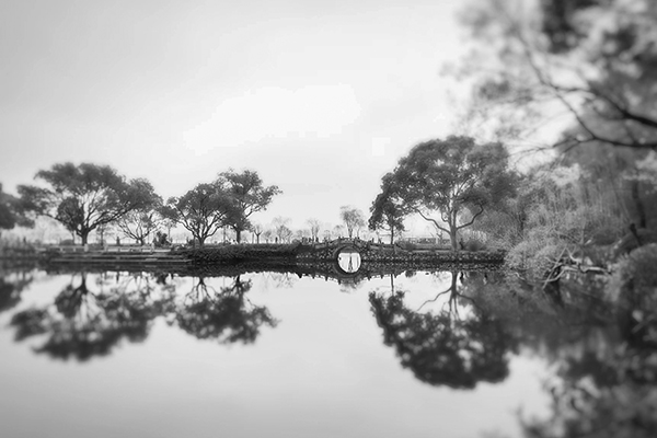 1681095513184431.jpeg 淡云 作品《游園》 (1).jpg