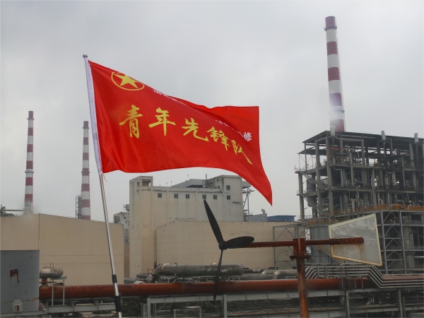 1684114274131504.jpeg IMG_0530.JPG