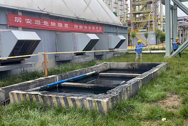 1691708558147177.jpeg 00 600.jpg