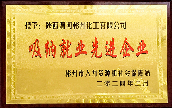 彬州公司榮獲”吸納就業(yè)先進(jìn)企業(yè)“稱號(hào)  600.jpg