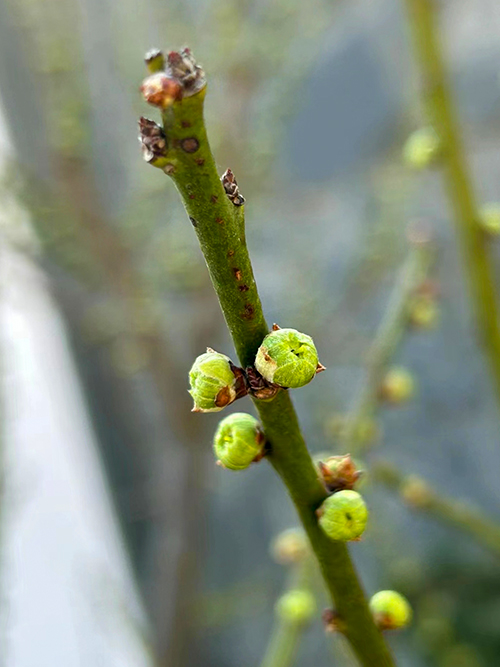 1709862521904041.jpeg 5801d535a3ca4adaa0350e9b6c9e6dc.jpg