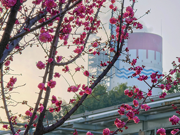 1710139513280433.jpeg 2 600.jpg