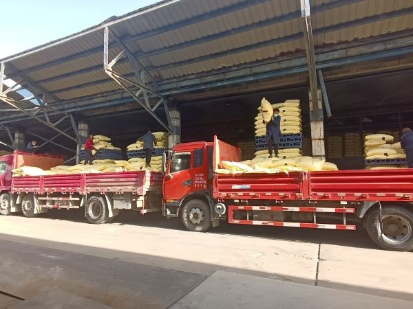 1710401915632523.jpeg 1649406957887145.jpeg