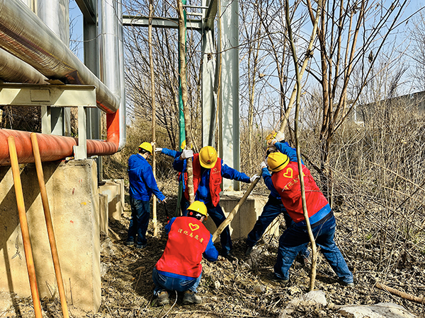 3月20日下午，物料車(chē)間黨支部開(kāi)展了“清除雜草保安全 志愿服務(wù)顯擔(dān)當(dāng)”主題活動(dòng)，黨員及青年志愿者清理影響管線(xiàn)安全的枯樹(shù)枝   600.jpg