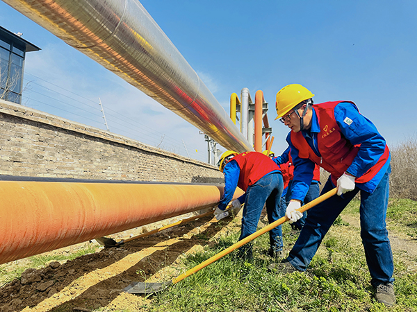 3月20日下午，物料車(chē)間黨支部開(kāi)展了“清除雜草保安全 志愿服務(wù)顯擔(dān)當(dāng)”主題活動(dòng)，黨員及青年志愿者清理管線(xiàn)底部雜草   600.jpg