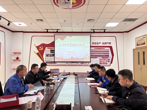 2024年11月5日，支部參加公司年度黨建檢查.jpg
