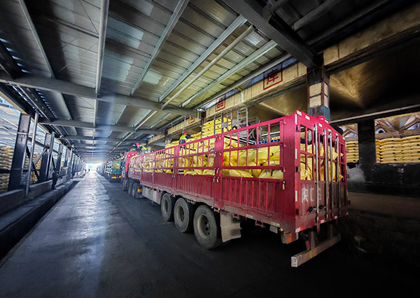 1739150552392252.jpeg 2月6日尿素裝車現(xiàn)場2.jpg