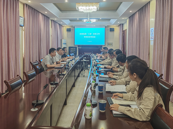 2025年6月5日，陜煤集團“三定”改革檢查組到公司開展現(xiàn)場驗收    600.jpg