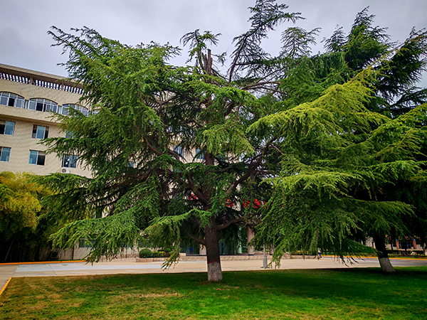 111757549786383805.jpg dfaa73042b57466dc905f1246eb7caaa 600.jpg