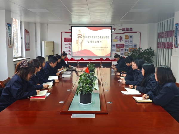 091765243092199574.jpg 12月5日兩支部聯(lián)合開展學(xué)憲法的主題黨日活動.jpg